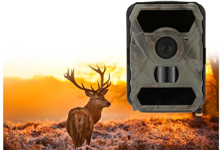 S880 охотничья камера 12MP 1080P HD широкоугольный, Инфракрасный ночного видения 56 шт. ИК светодиоды скаутинг камера цифровая камера видеонаблюдения
