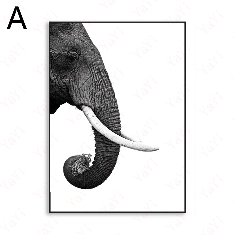 White Black Animal Canvas Wall Art Elephant Painting Picture For Home Living Room Bedroom Study Decor Large Quality No Frame | Дом и сад