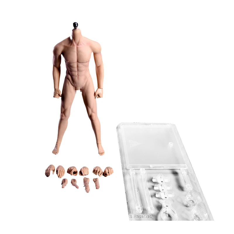 1/6 Scale 12''Ultra Flexible Muscular Male Seamless Body Stainlee Steel Skeleton Rubber Human-like Skin Bodies for 1/6 Head
