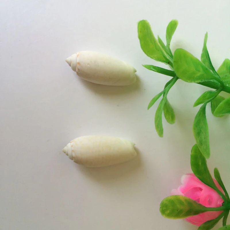 Природные раковины каракола ремесла отшельник Краб аквариума украшения