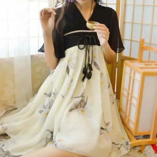 

Chinese Tradition Hanfu Zixun Flower Dress Ink Painting Flying Sleeves Vintage Mori Girl Dress