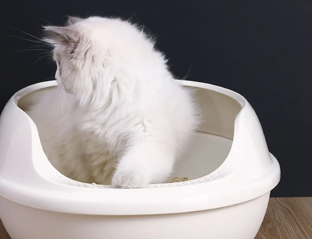 XIAOMI mijia PETKIT Pura air умный дезодорант для домашних животных для удаления запаха в помещении собачий запах мочи кошачий наполнитель с умным сенсором