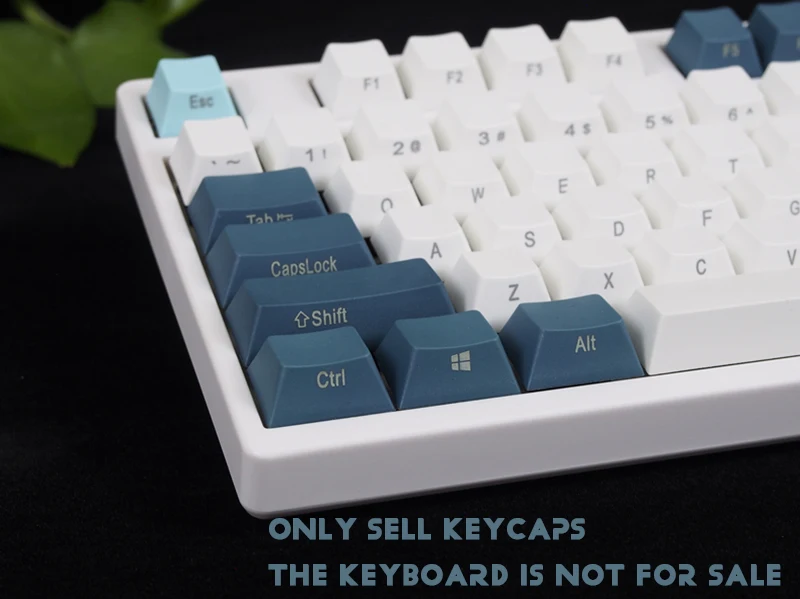 Хацунэ Мику тема цвет соответствия механическая клавиатура keycap ODM высота PBT положительный выгравированы боковые колпачки