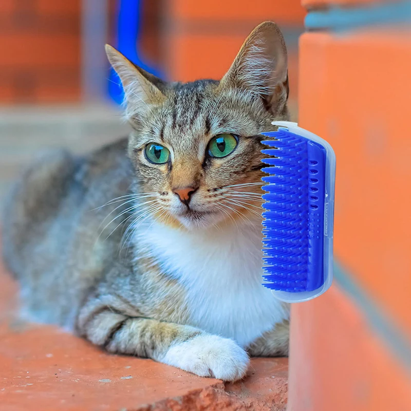 Высокое качество Pet продукция для питомцев с кошачьей мяты гребень Самостоятельная грумера углу кисть для кошек Популярные Cat массажной щеткой 1 PC