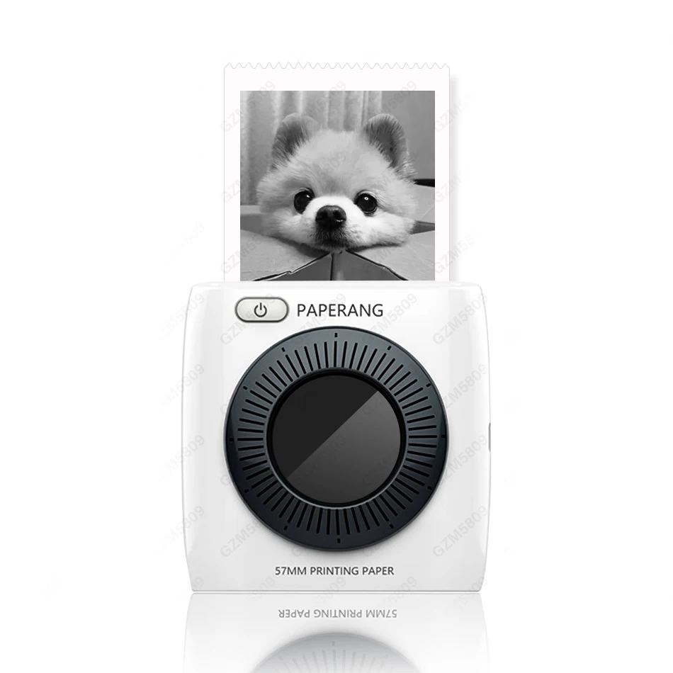 Карманный мини-фотопринтер портативный Bluetooth термопринтер этикетка наклейка машина для мобильных Android iOS Windows PAPERANG P2 - Цвет: 1 Printer