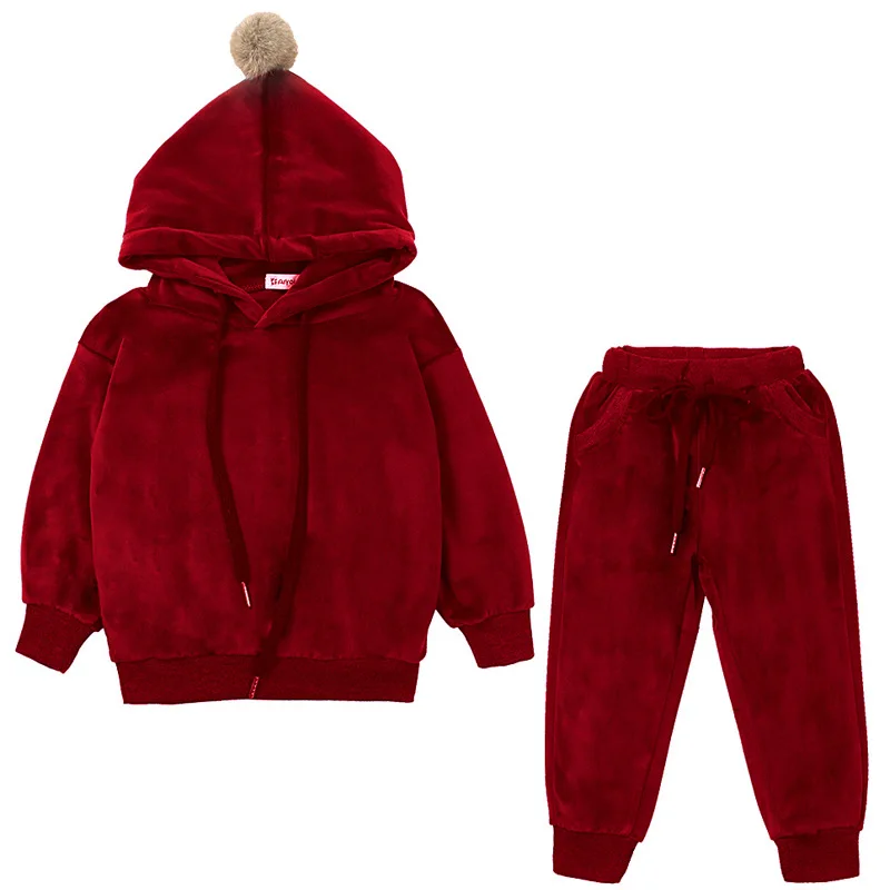 Wine Red Осенне-весенний детский спортивный костюм комплект одежды с капюшоном для мальчиков и девочек, Спортивная одежда на молнии для детей 1, 2, 3, 4 лет, детский спортивный костюм - Цвет: Wine Red