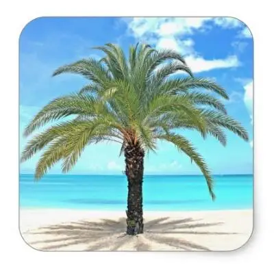 

1.5inch Palm tree on tropical beach square sticker