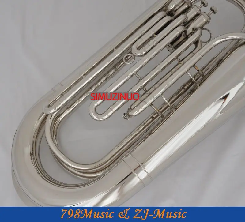 Рисунок 2 - Профессиональный никелевый посеребренный