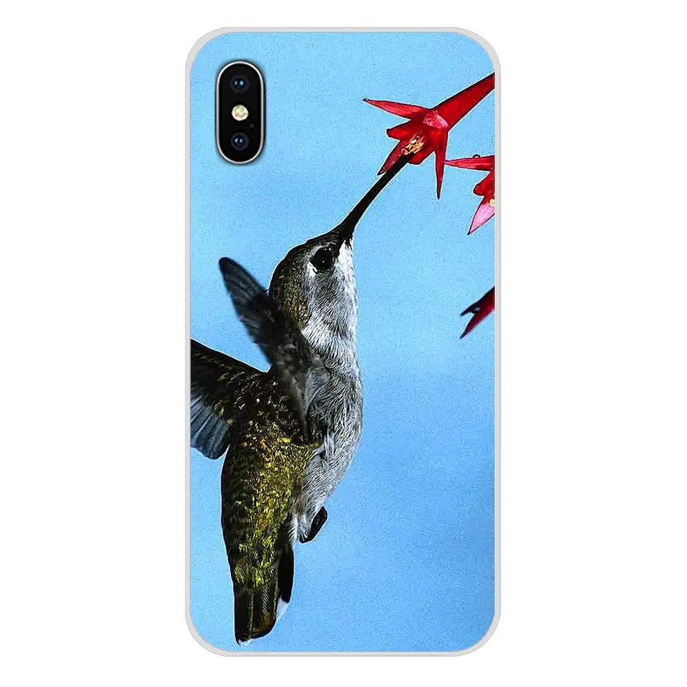 Аксессуары чехлы-накладки для Apple iPhone X XR XS MAX 4 4S 5 5S 5C SE 6 6S 7 8 Plus ipod touch с животными