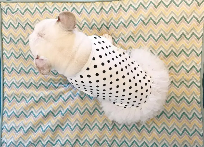 Cute Dots Summer Dog Dress Pug Clothes French Bulldog Clothing Vest Skirt Tutu Poodle Bichon Schnauzer Pet Costume | Дом и сад