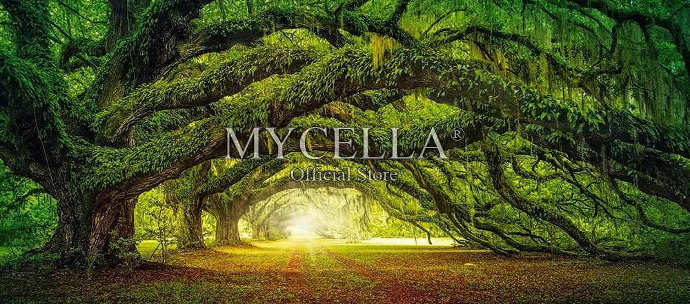 

landscape 5D DIY Diamond Painting Fantasy Forest Sunrise Crystal Embroidery Cross Stitch Full Needlework Mosaic Paintings Decor