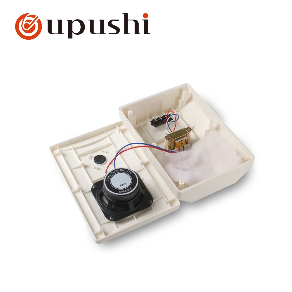 Oupushi CL652 портативный настенный динамик школьный класс супер-рынок торговый центр вещания фон музыкальный динамик