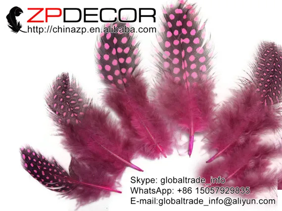 

ZPDECOR Guinea Feathers 500pcs/lot Stock Hand Select Guinea Hen Plumage Feathers Wholesale Candy Pink