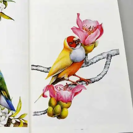 Китайский Цветной Карандаш для рисования птиц рисование животных