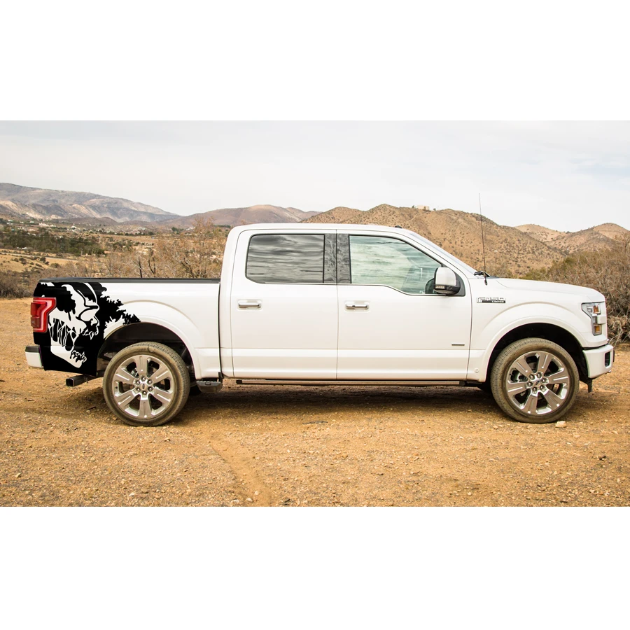 Виниловые декорационные наклейки для Ford FORD F150 2015 | Автомобили и мотоциклы