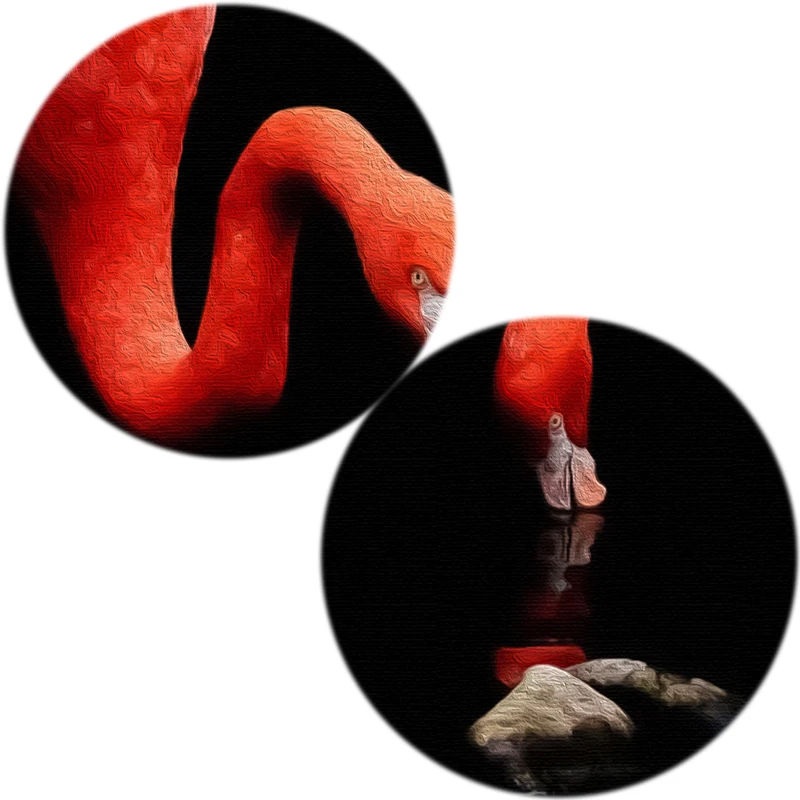 Картина на холсте с изображением фламинго постеры масляной живописью без рамки -