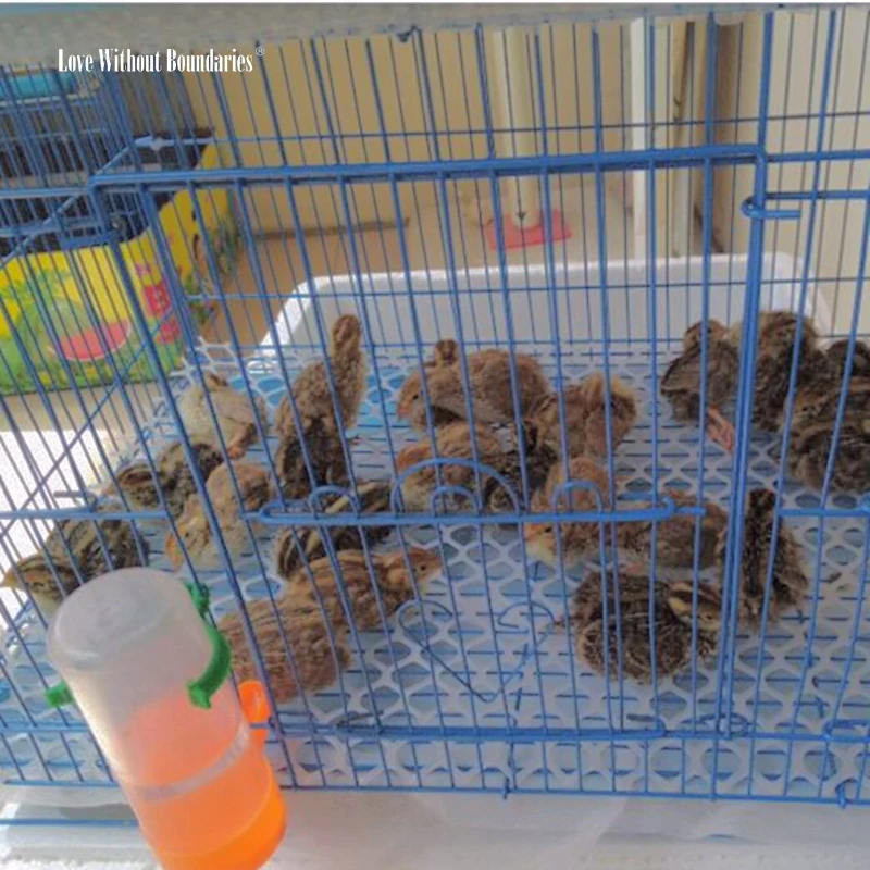 Pet коврики и одеяла чистое постельное ковер птицы Курица Утка хомяк норки белка