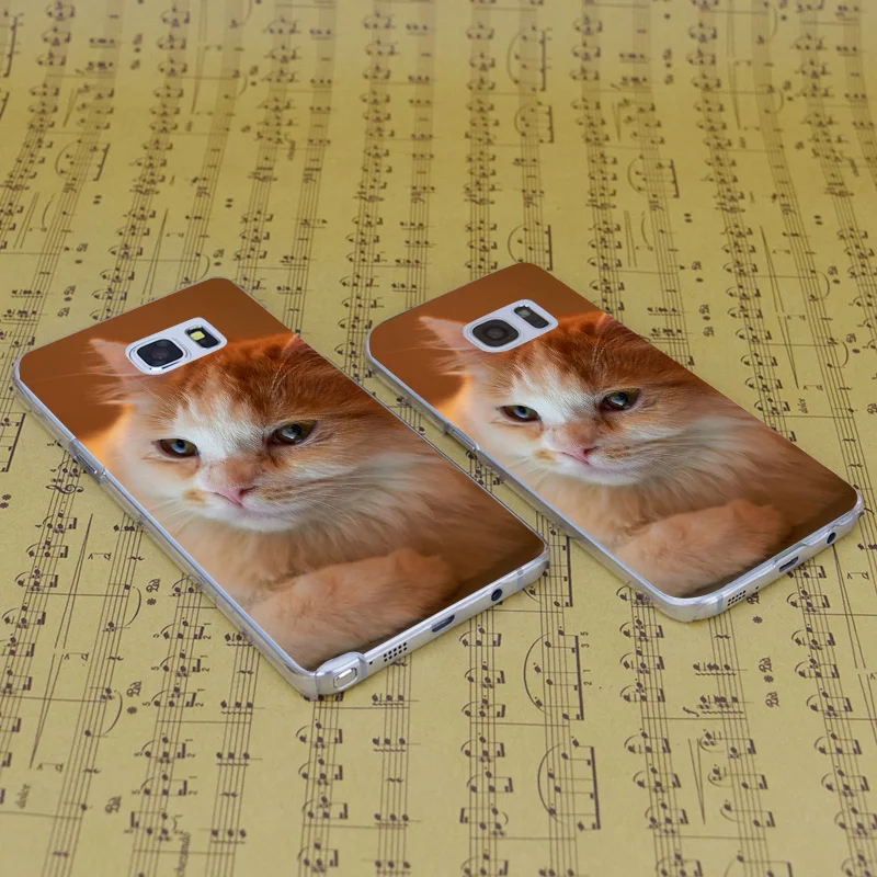 DREAM FOX B2808 Orange Fluffy Cat Transparent Hard PC Case Cover For Samsung Galaxy S 4 5 6 7 8 Mini Edge Plus Note 3 |