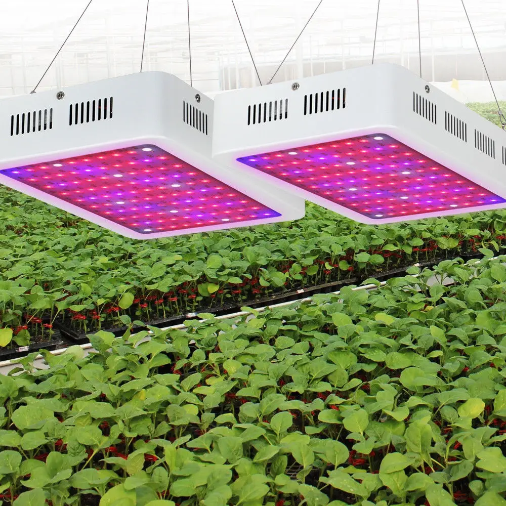 Лампа светодиодная полного спектра для выращивания растений 300 Вт 1 шт.|led plant grow