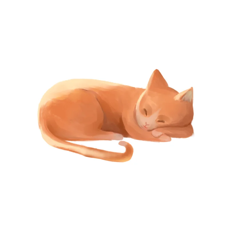 ZTTZDY 22 4*13 3 см спящий Кот наклейка на стену стикер для туалета домашний