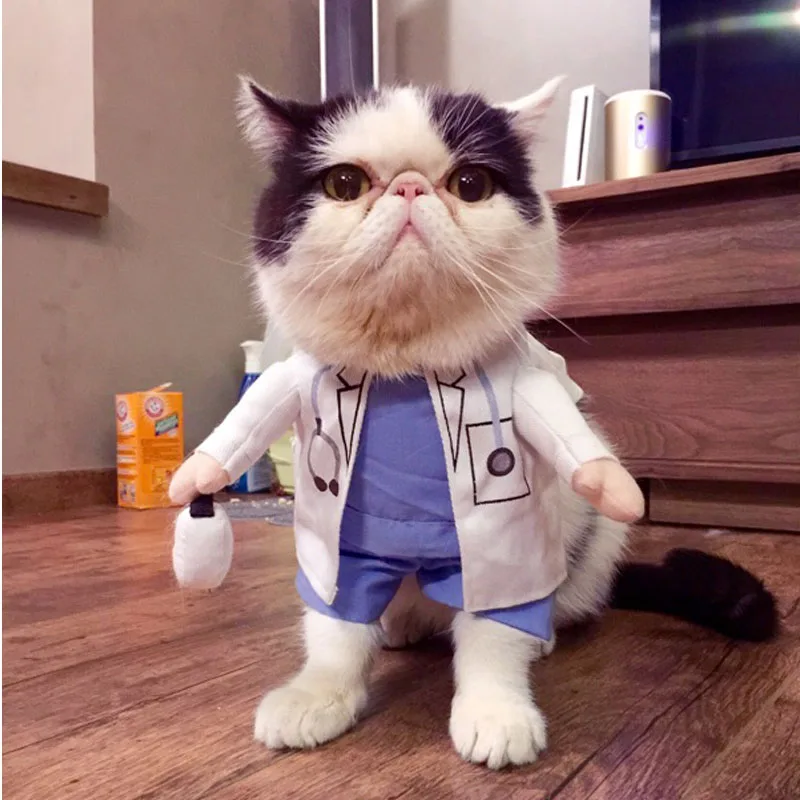 Забавный костюм для хеллоуина питомца кошки собаки доктора косплей весна