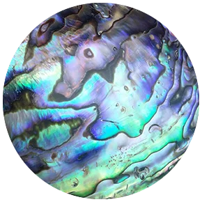 BS003 ZDYING 5 шт./лот круглые стеклянные морские раковины Абалон узор кабошон демонстрационные бусины плоская задняя сторона Изготовление ювелирных изделий BS002 - Цвет: BS003
