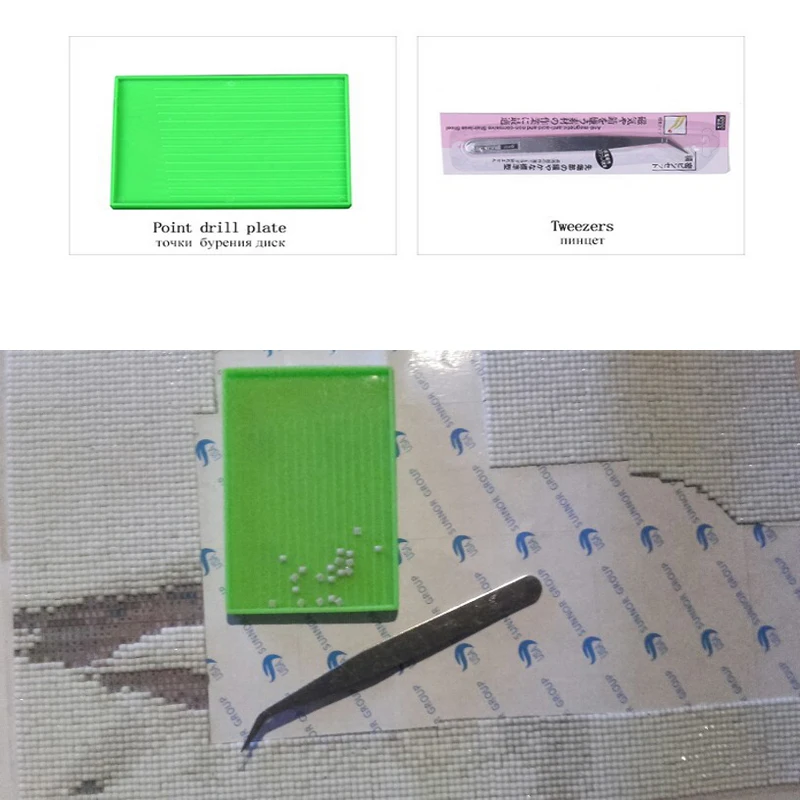 5d алмазная вышивка зимние птицы на снегу картина мозаика пасты Алмазная