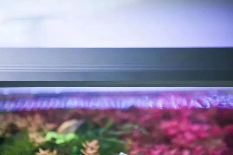 Новинка Chihiros RGB A plus серия Светодиодная лампа для роста растений WRGB таймер восхода солнца заката водяное растение для аквариума командор 4