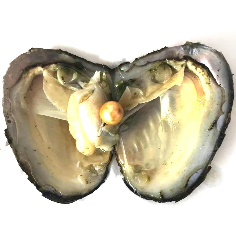 20pcs Single Acid Blue 9-10mm Near Round Edison Pearl with Vacuum Packed Oyster Fresh Pearl in Oyster