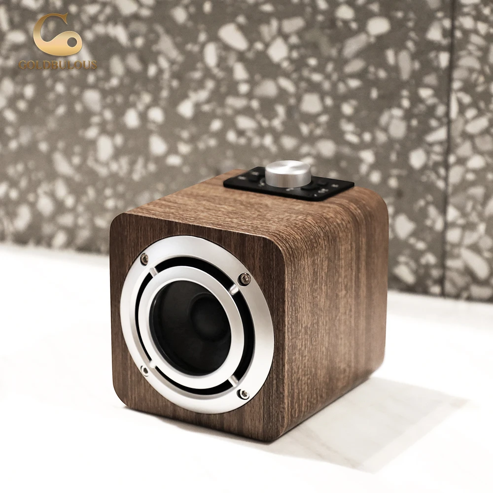 Goldbulous Bluetooth Динамик fm Радио 8 Вт Портативный Беспроводной мини PA Hi-Fi стерео звук