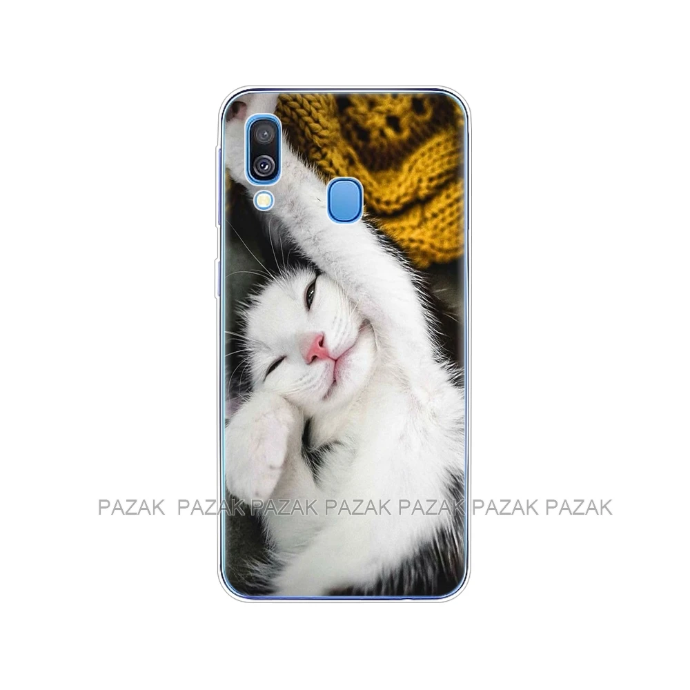 10648 Чехол для samsung A40, чехол, Мягкая силиконовая задняя крышка, чехол для телефона, для samsung Galaxy A40, Galaxy YA40, A 40, A405, SM-A405F, A405F, мультфильм - Цвет: 10648