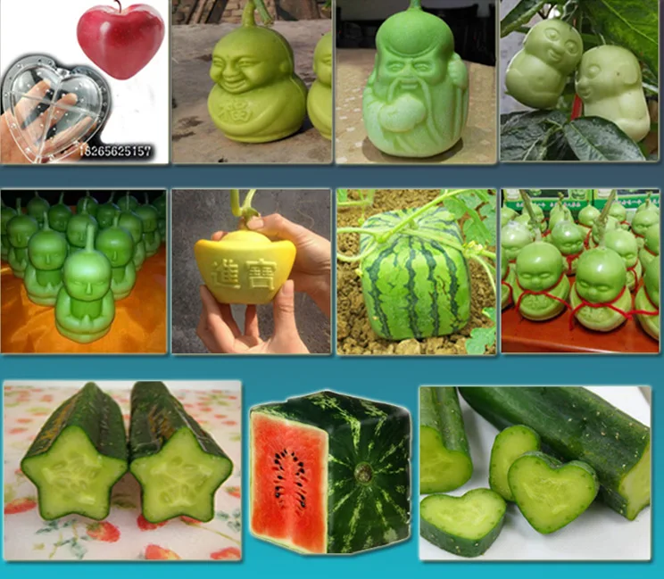 10 шт. большая форма для фруктов в виде сердца роста апельсина персика яблока