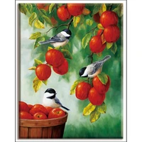 full embroiderydmccross stitchfruit birdsplanthome decordiyneedleworkkitswhite canvas 40x50cmcotton threadsets