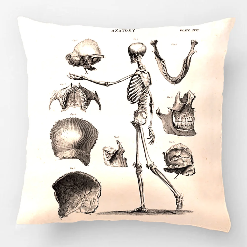 Наволочка для подушки в виде скелета античном стиле подарок от Lvsure|cushion cover|decorative