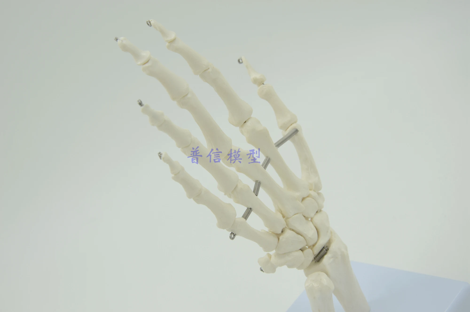 Hand Joint Model Wrist Medical Treatment Ligament Bone School Hospital Educational Supplies | Канцтовары для офиса и дома