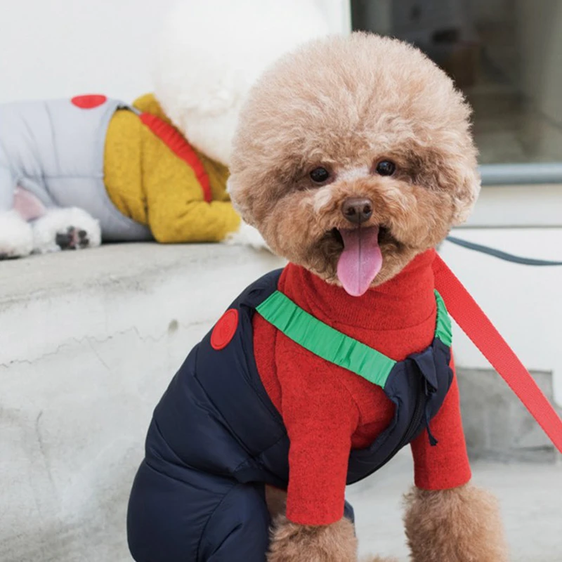 [MPK Dog зимняя одежда] Wongtim пуховик для французских Бульдогов и Мопсов, гетры