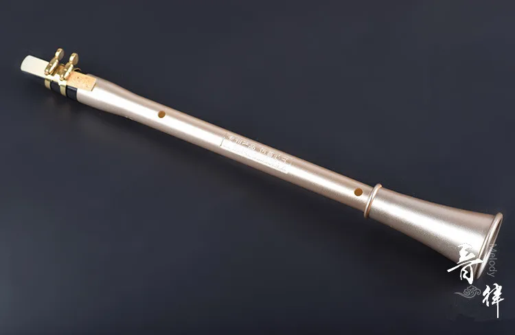 Карманный саксофон кларнет Вестерн ветер инструмент с тростником для