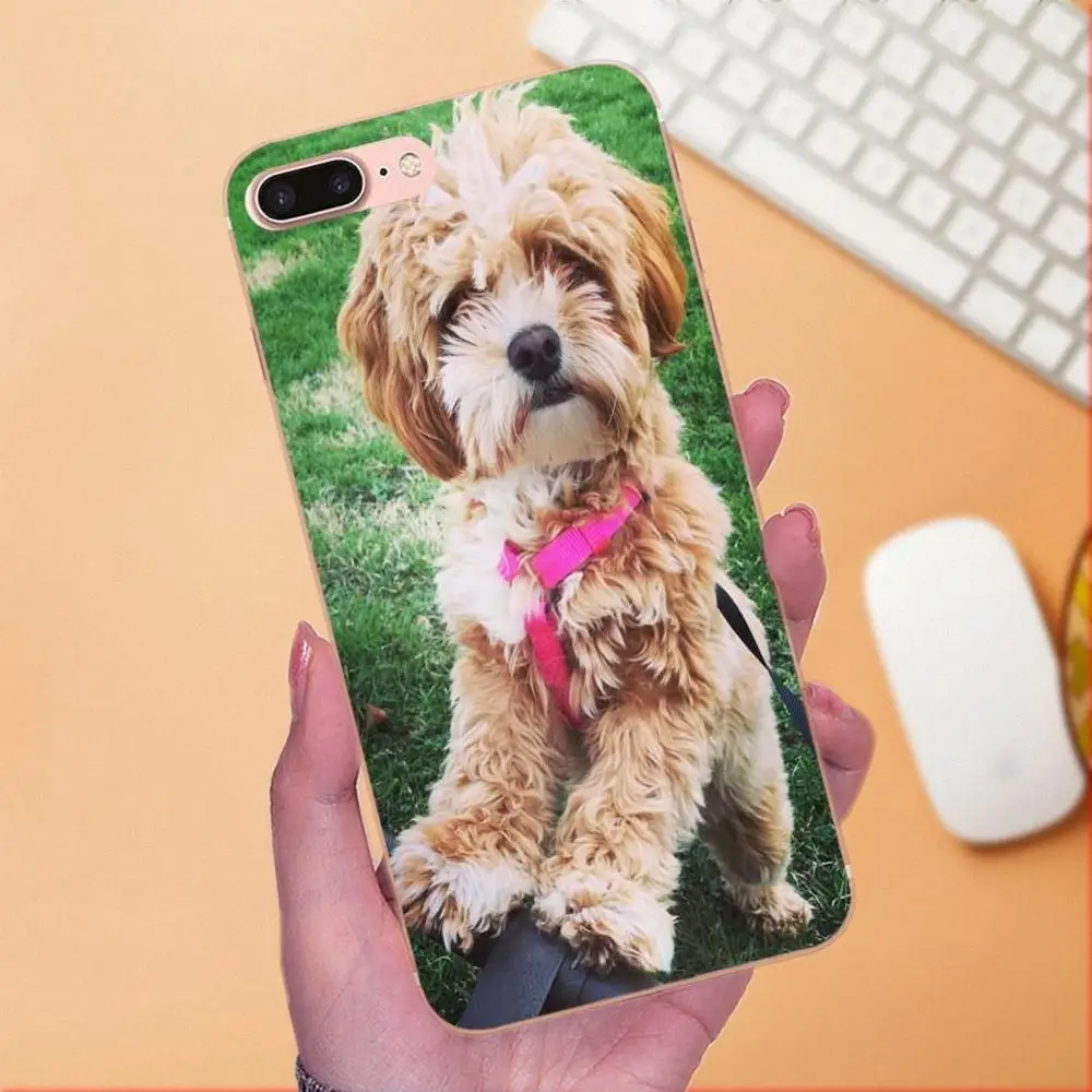 Love Pretty Shih Tzu Puppy Dogs Мягкая Мода для Sony Xperia Z Z1 Z2 Z3 Z4 Z5 compact Mini M2 M4 M5 T3 E3 E5 XA XA1 XZ Premium |
