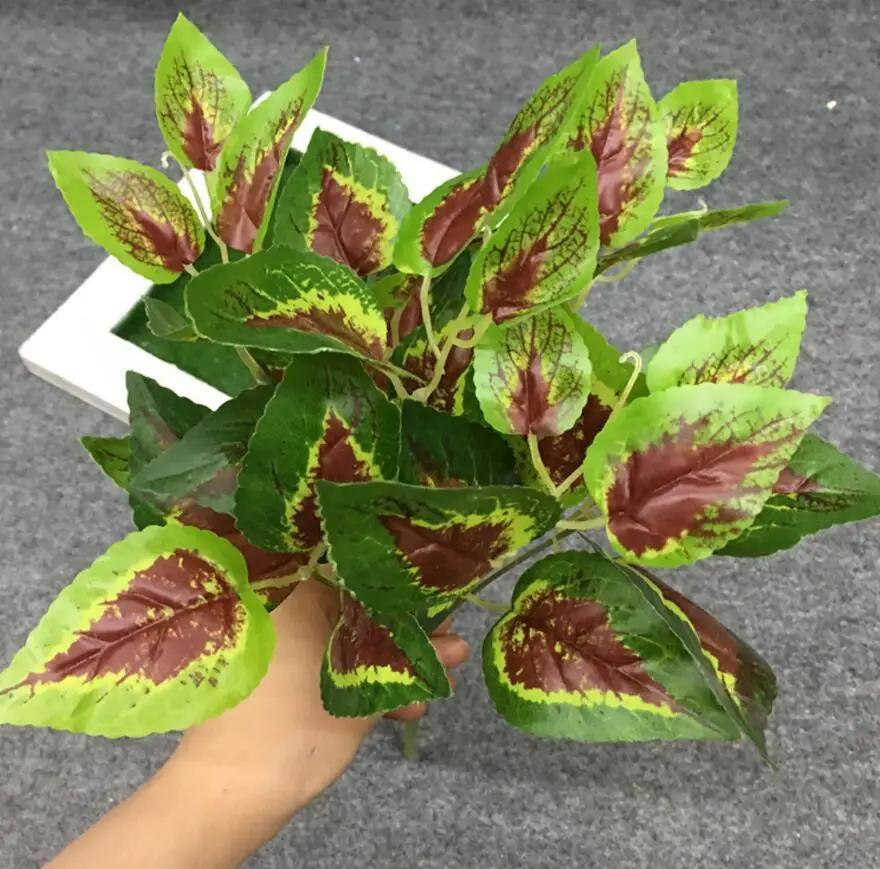 Ветка листьев периллы 5 шт. | Дом и сад