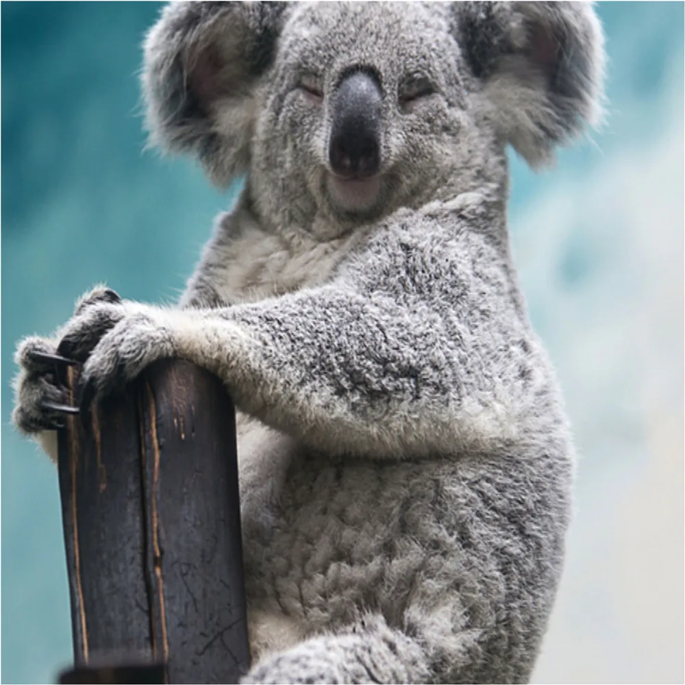 Красивые комплекты для малышей Детские одежды девочек детская модная одежда с