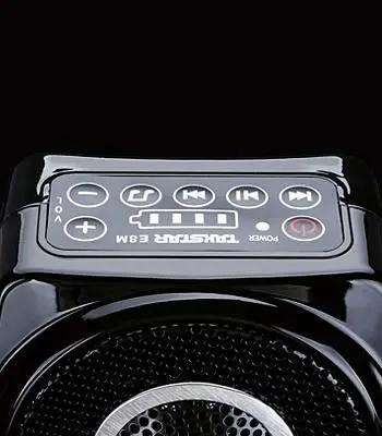 Бутик рекомендует TAKSTAR E8M портативные усилители мультимедиа и колонки MP3 аудио