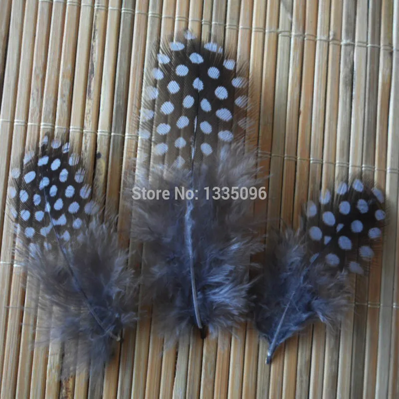 Бесплатная доставка! 100 шт./лот Дешевые Розничные птицы фазаньское перо 6 12 см