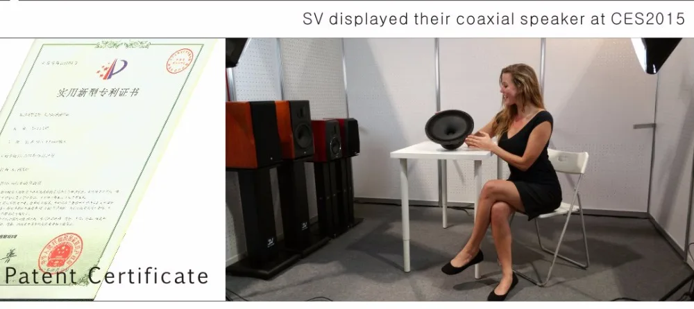 12 дюймов полный диапазон частоты coxial динамик HiFi сабвуфер DIY Громкоговоритель 8 Ом с одной заостренной технологией бас динамик