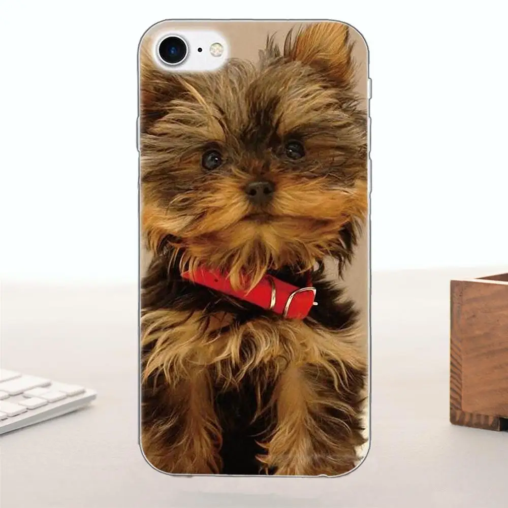 Bixedx для Apple iPhone 4 4S 5 5C SE 6 6S 7 8 Plus X ТПУ защитные чехлы телефонов енот Йоркширский