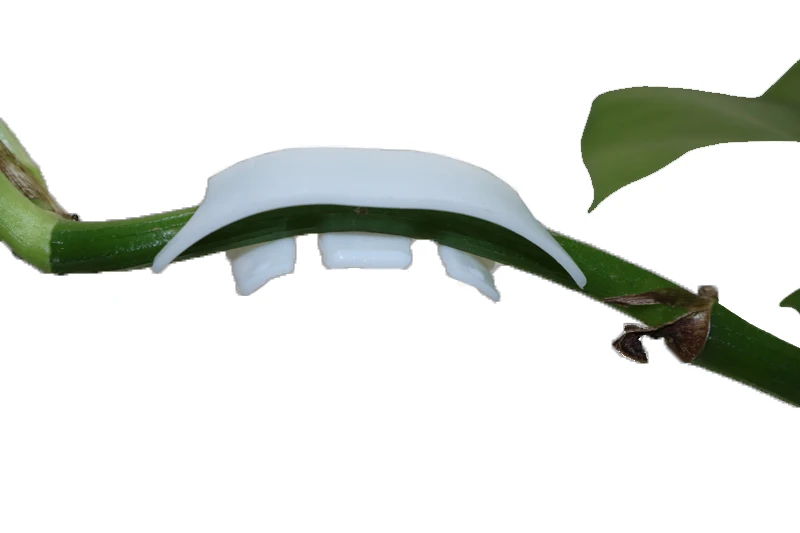 200 шт. удерживающие зажимы для томатного садоводства|clip heart|clip fabricmaterial copper |