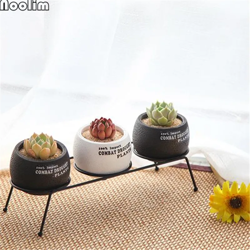 Железная рама керамические суккуленты зеленые цветочные горшки креативные