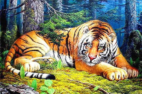 5D Алмаз Вышивка рукоделие diy картина Крестом Наборы животных тигр полный круглый