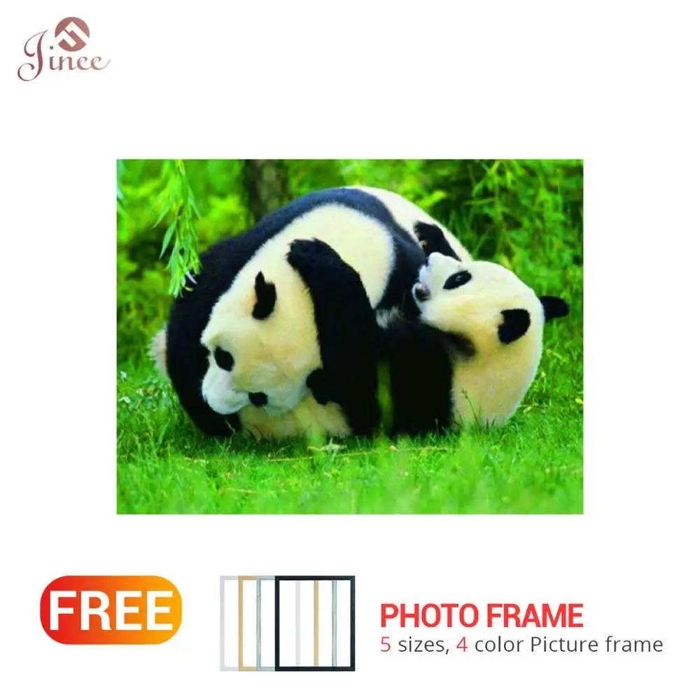 

5D Diamond Painting Cute Animal Panda Full Square Round Diamond Embroidery Cats Diamond Mosaic Animals Pictures Of Rhinestones