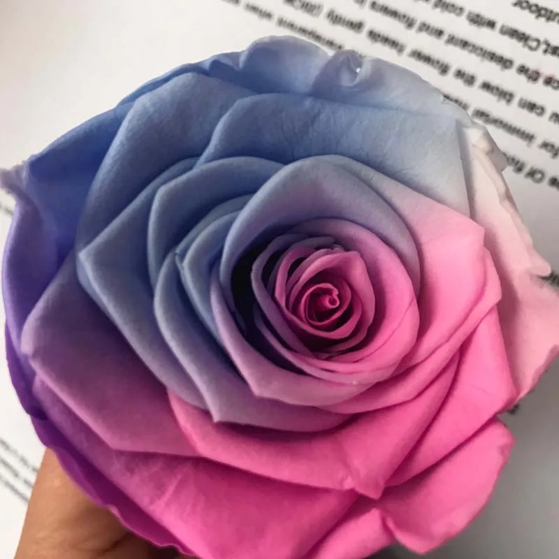 Натуральный сухой свежий консервированный головка розы в оттенках Цвет