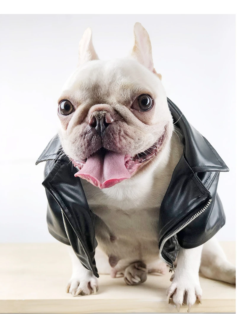 [MPK Dog зимняя одежда] крутая куртка для собак, фланелевая мягкая тканая ткань внутри, полиуретановая кожа снаружи
